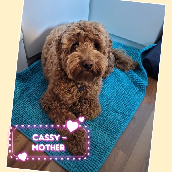 GridArt_20250125_110134050